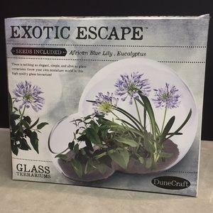 Dunecraft Exotic Escape Double Bubble Terrarium